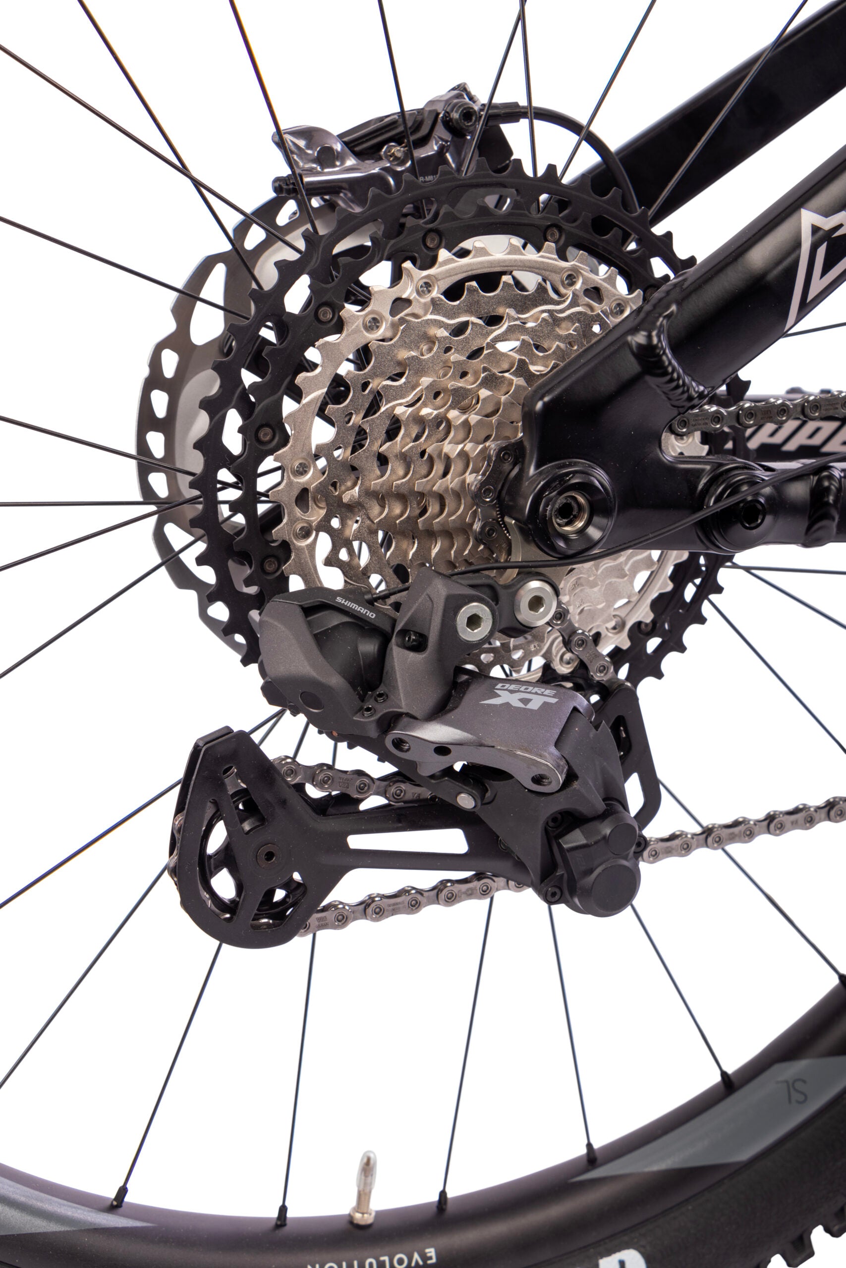 Steppenwolf Tycoon 8.0 Di2